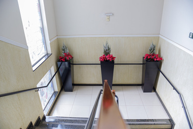 Foto ESCADAS (1).jpg